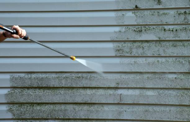 Best Fence Pressure Washing  in Mckenzie, TN