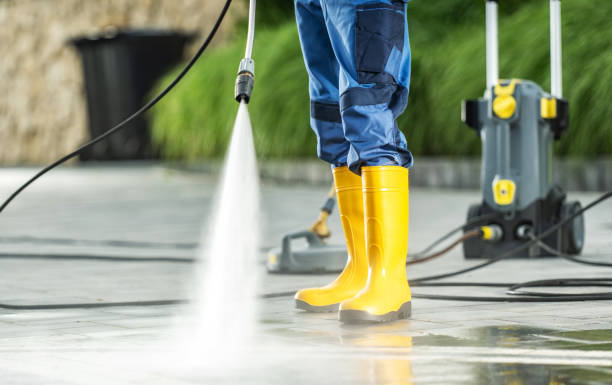 Best Power Washing Near Me  in Mckenzie, TN
